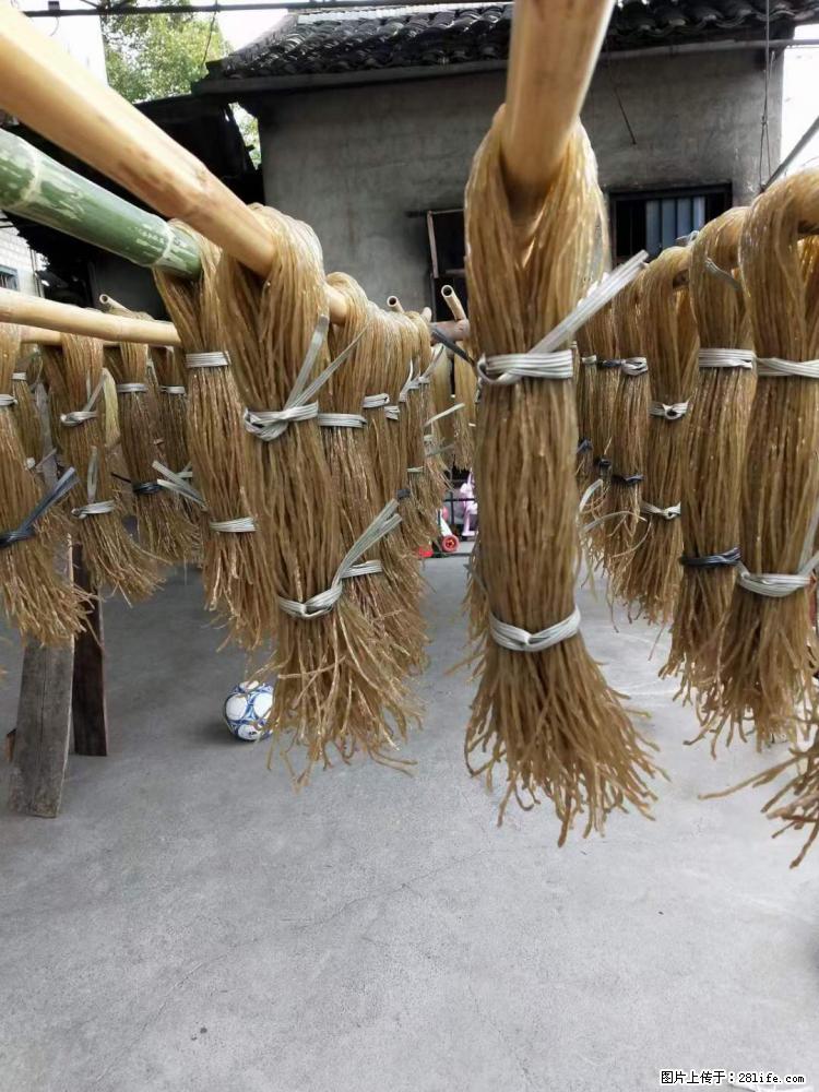 【灌阳正宗红薯粉】美女家里自己做的，干净卫生，假一赔十，价格合理，抢购电话：13737312895 - 美食天地 - 泸州生活社区 - 泸州28生活网 luzhou.28life.com