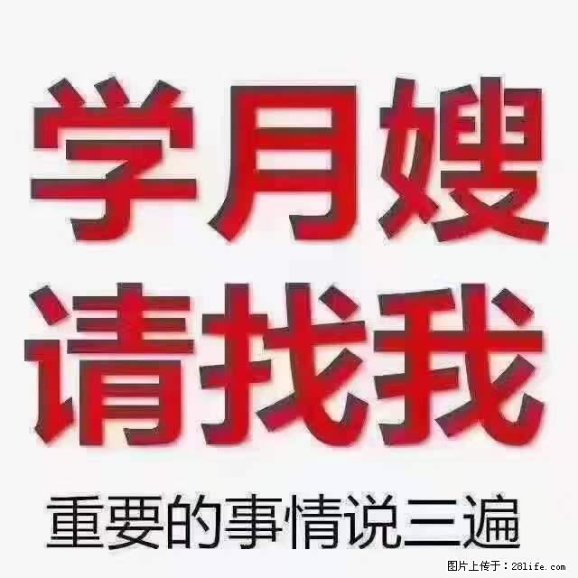为什么要学习月嫂，育婴师？ - 其他广告 - 广告专区 - 泸州分类信息 - 泸州28生活网 luzhou.28life.com