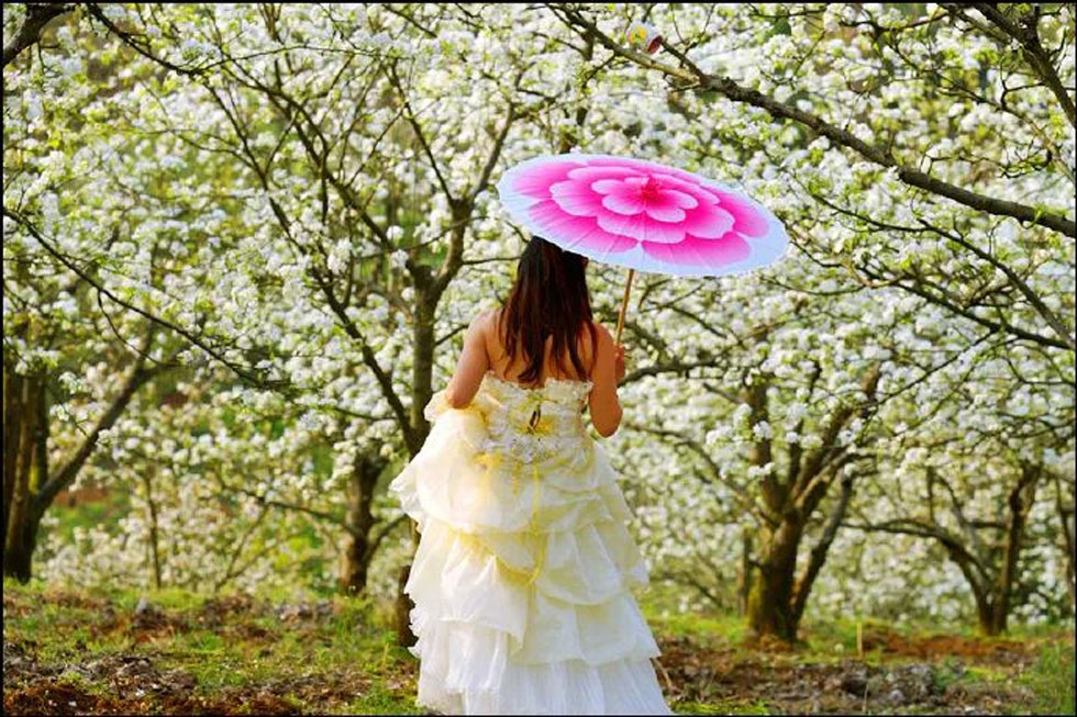 【春天,广西桂林灌阳县向您发出邀请!】我们在灌阳看梨花 - 游山玩水 - 泸州生活社区 - 泸州28生活网 luzhou.28life.com