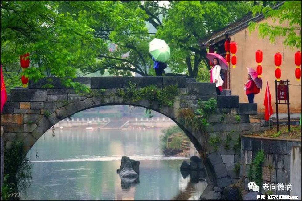 【春天,广西桂林灌阳县向您发出邀请!】江口老街又逢春 - 游山玩水 - 泸州生活社区 - 泸州28生活网 luzhou.28life.com