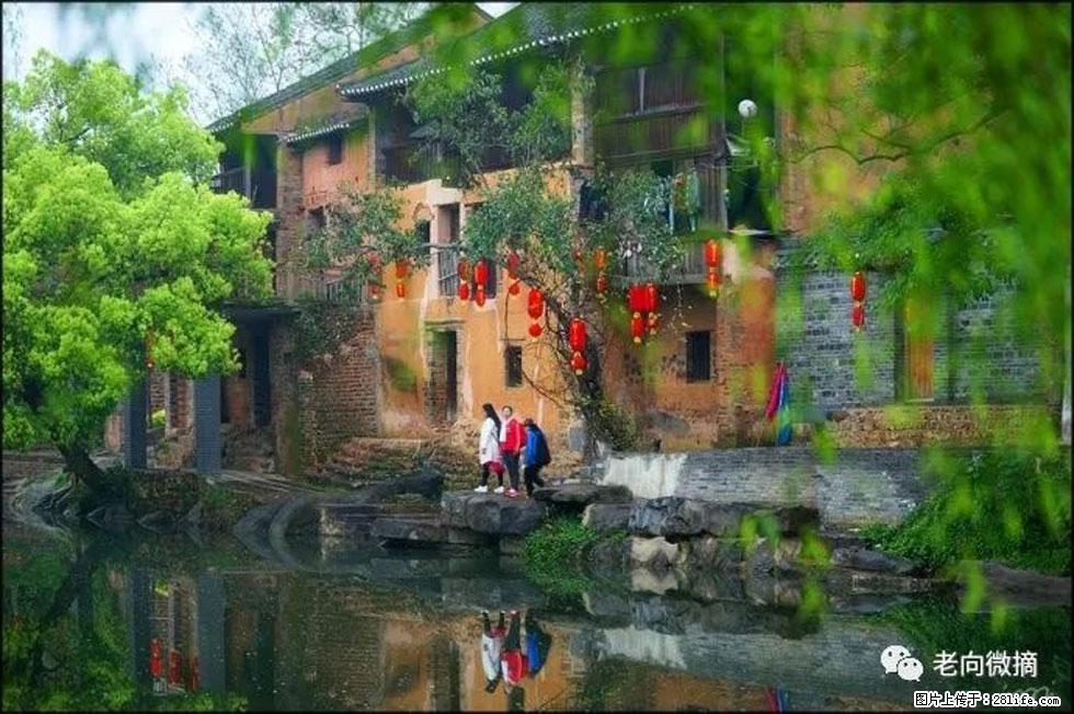 【春天,广西桂林灌阳县向您发出邀请!】江口老街又逢春 - 游山玩水 - 泸州生活社区 - 泸州28生活网 luzhou.28life.com
