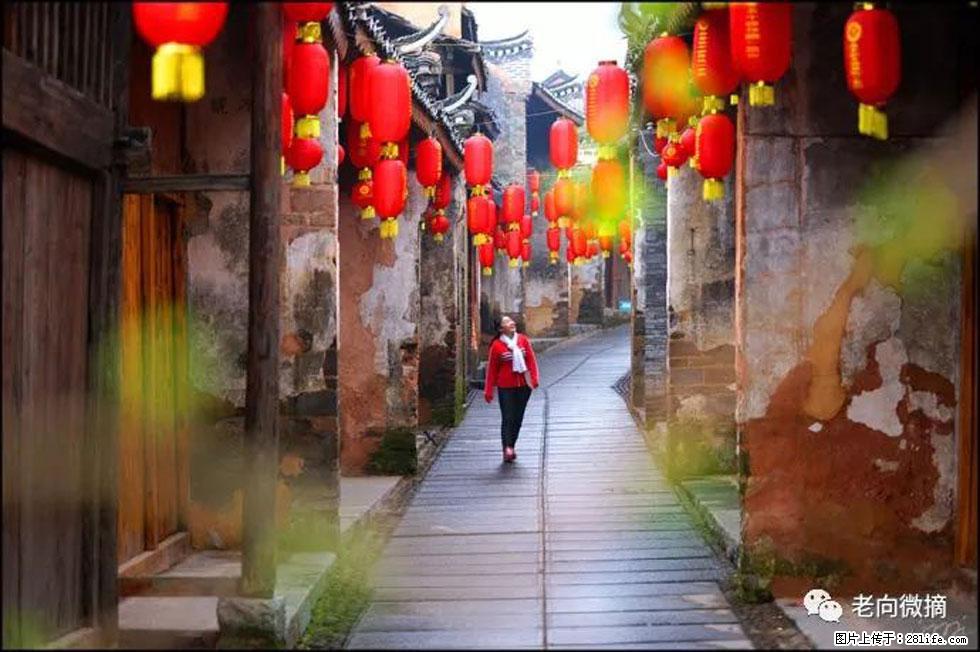 【春天,广西桂林灌阳县向您发出邀请!】江口老街又逢春 - 游山玩水 - 泸州生活社区 - 泸州28生活网 luzhou.28life.com