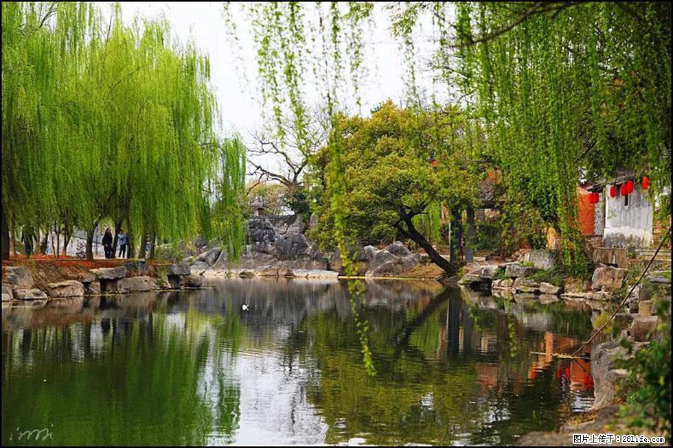 【春天,广西桂林灌阳县向您发出邀请!】江口老街又逢春 - 游山玩水 - 泸州生活社区 - 泸州28生活网 luzhou.28life.com