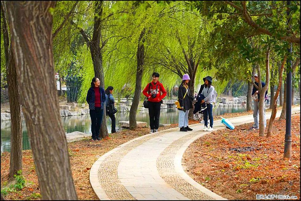 【春天,广西桂林灌阳县向您发出邀请!】江口老街又逢春 - 游山玩水 - 泸州生活社区 - 泸州28生活网 luzhou.28life.com