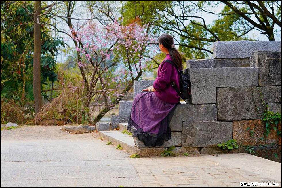 【春天,广西桂林灌阳县向您发出邀请!】江口老街又逢春 - 游山玩水 - 泸州生活社区 - 泸州28生活网 luzhou.28life.com