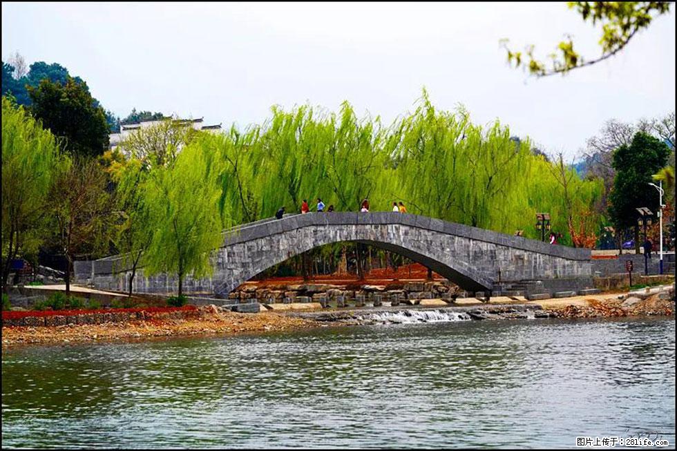 【春天,广西桂林灌阳县向您发出邀请!】江口老街又逢春 - 游山玩水 - 泸州生活社区 - 泸州28生活网 luzhou.28life.com