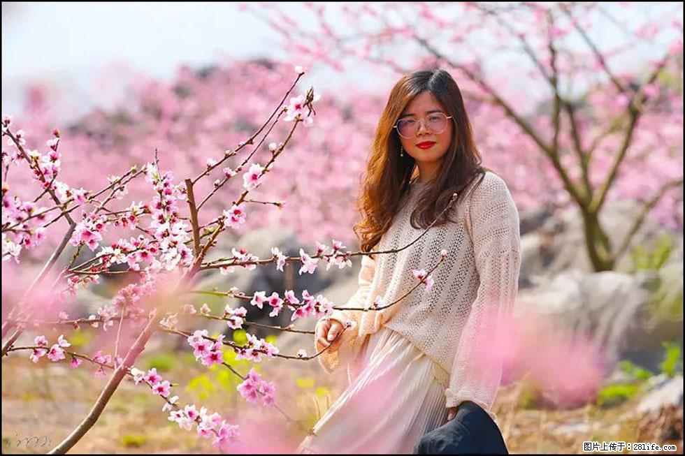 【春天,广西桂林灌阳县向您发出邀请!】望月岭上桃花开 - 游山玩水 - 泸州生活社区 - 泸州28生活网 luzhou.28life.com