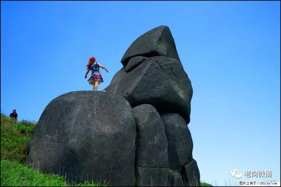 【春天,广西桂林灌阳县向您发出邀请!】宝盖山上映山红 - 游山玩水 - 泸州生活社区 - 泸州28生活网 luzhou.28life.com