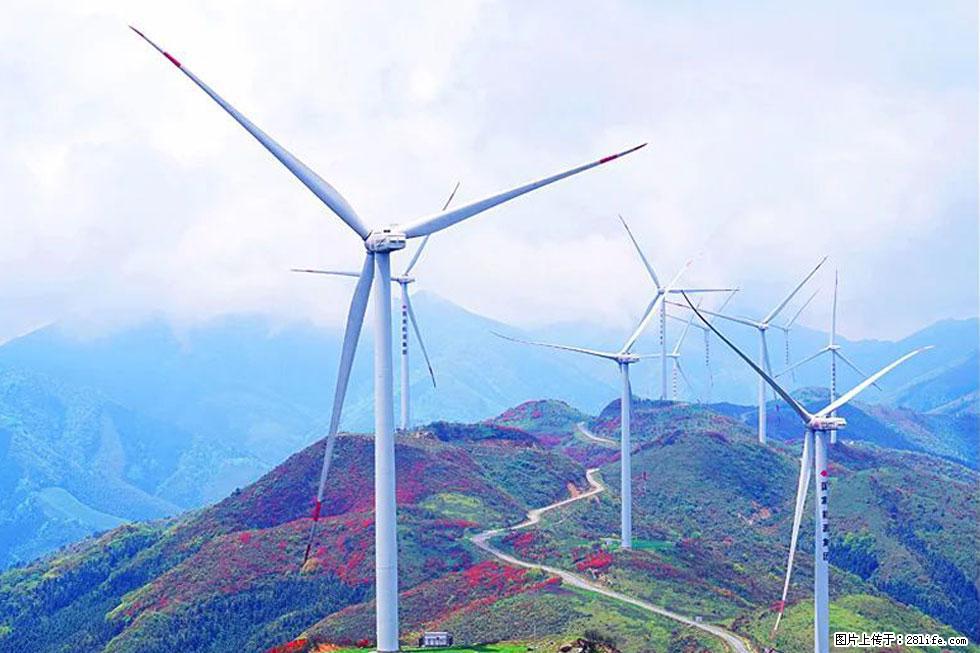 【春天,广西桂林灌阳县向您发出邀请!】春木界上映山红 - 游山玩水 - 泸州生活社区 - 泸州28生活网 luzhou.28life.com