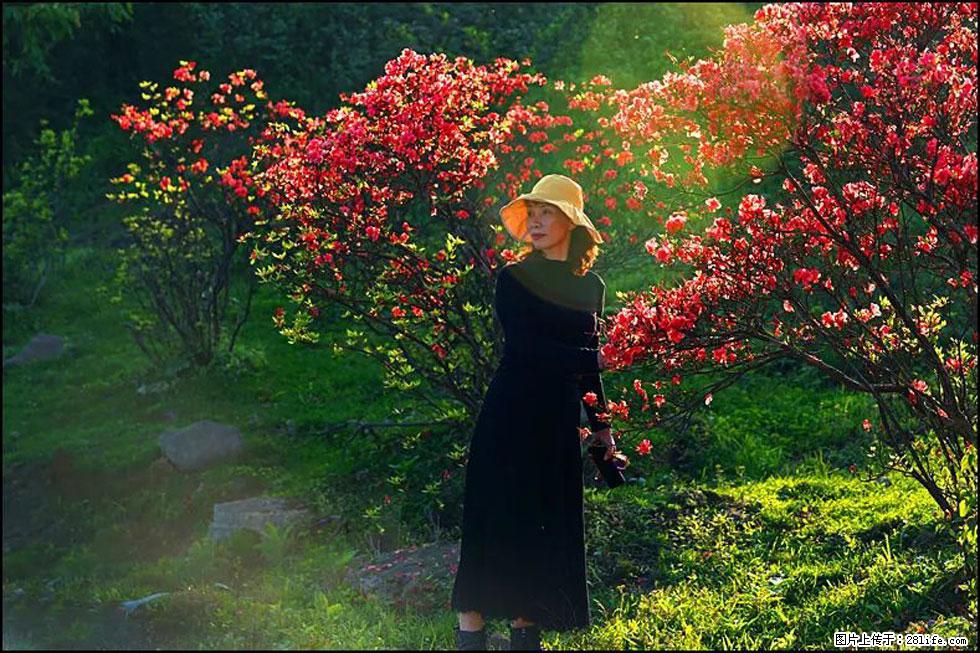 【春天,广西桂林灌阳县向您发出邀请!】春木界上映山红 - 游山玩水 - 泸州生活社区 - 泸州28生活网 luzhou.28life.com