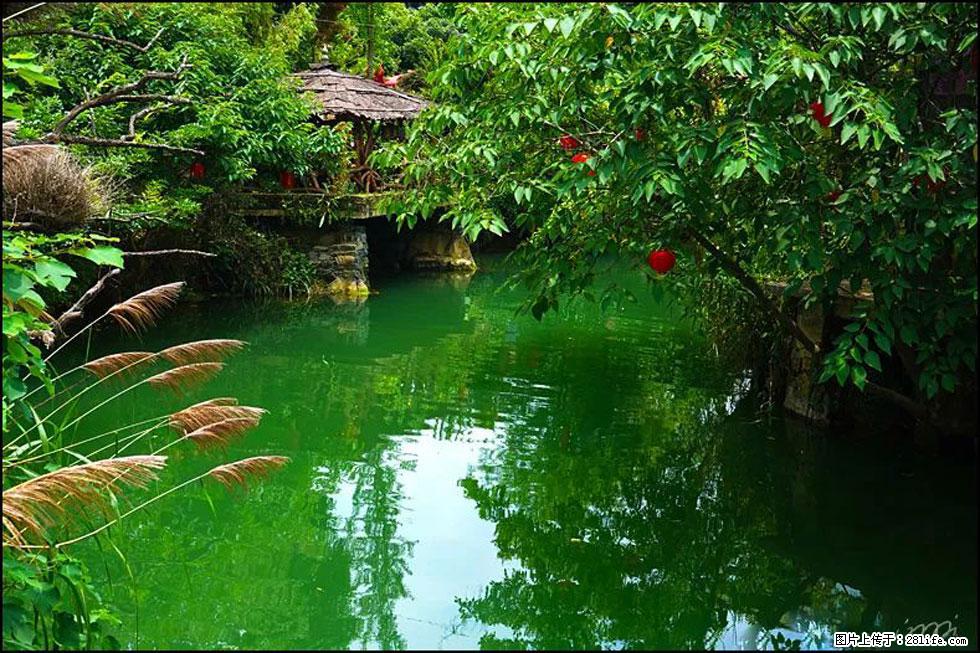 【春天，广西桂林灌阳县向您发出邀请！】如梦似幻莲溪庐 - 游山玩水 - 泸州生活社区 - 泸州28生活网 luzhou.28life.com