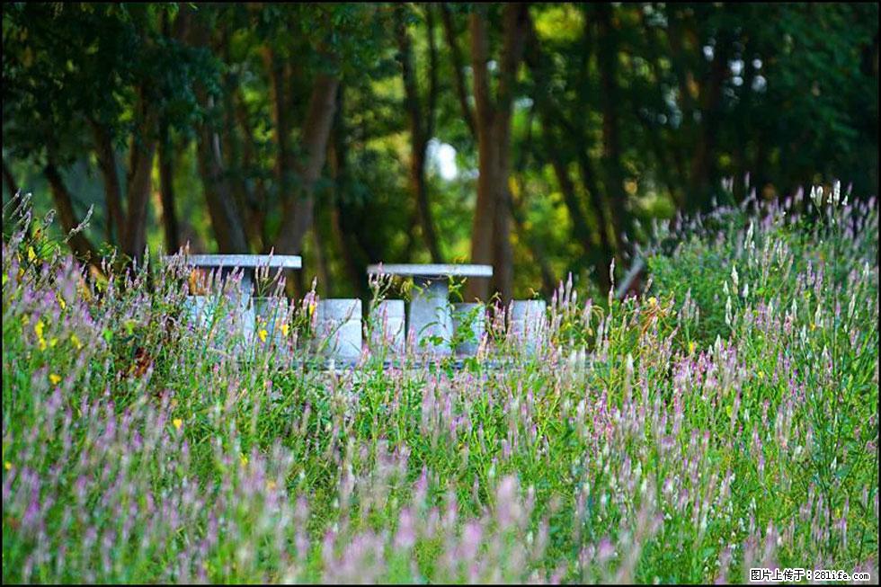 【春天，广西桂林灌阳县向您发出邀请！】熊家寨湿地公园 - 游山玩水 - 泸州生活社区 - 泸州28生活网 luzhou.28life.com