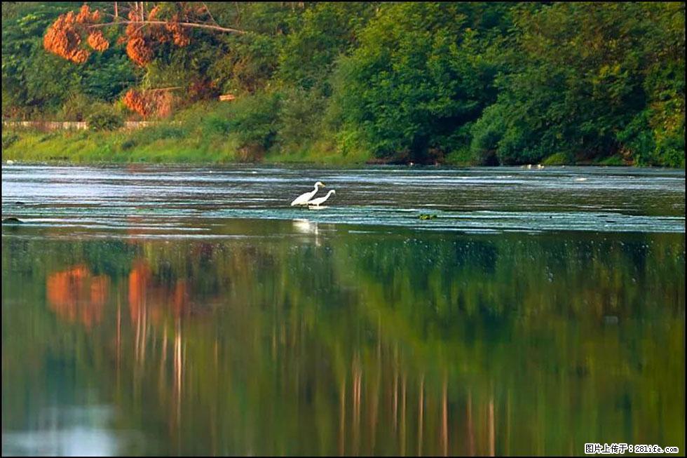 【春天，广西桂林灌阳县向您发出邀请！】熊家寨湿地公园 - 游山玩水 - 泸州生活社区 - 泸州28生活网 luzhou.28life.com