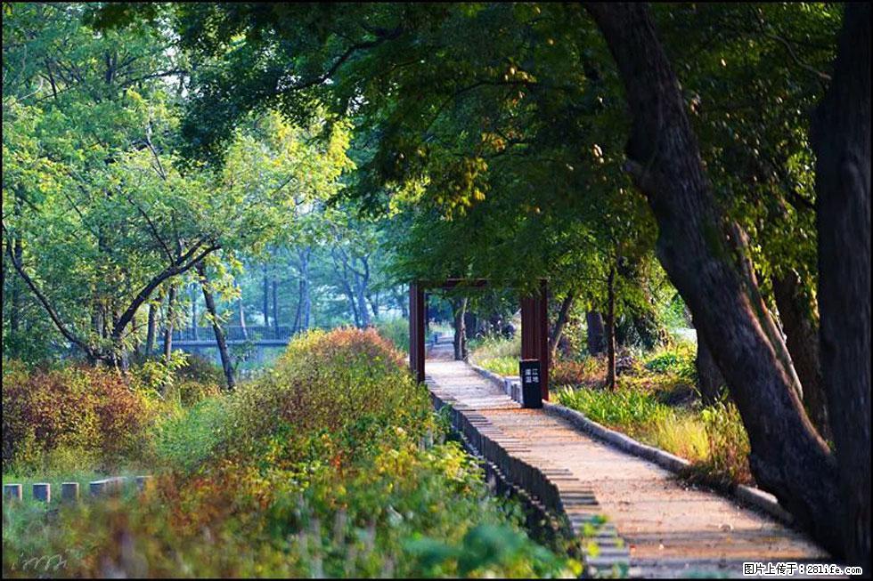 【春天，广西桂林灌阳县向您发出邀请！】熊家寨湿地公园 - 游山玩水 - 泸州生活社区 - 泸州28生活网 luzhou.28life.com