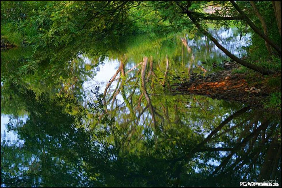 【春天，广西桂林灌阳县向您发出邀请！】熊家寨湿地公园 - 游山玩水 - 泸州生活社区 - 泸州28生活网 luzhou.28life.com