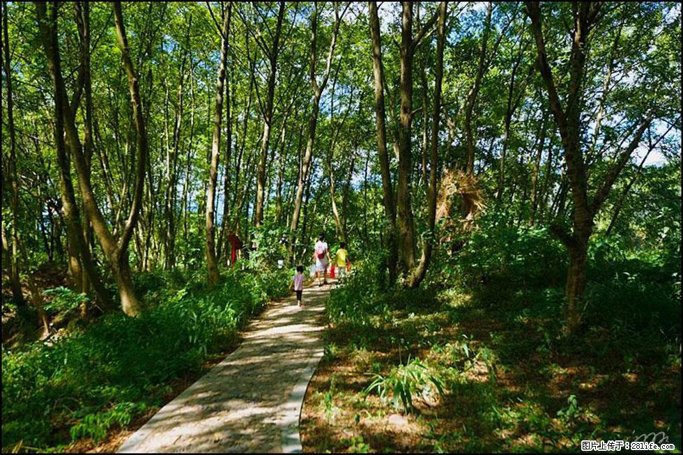 【春天，广西桂林灌阳县向您发出邀请！】熊家寨湿地公园 - 游山玩水 - 泸州生活社区 - 泸州28生活网 luzhou.28life.com