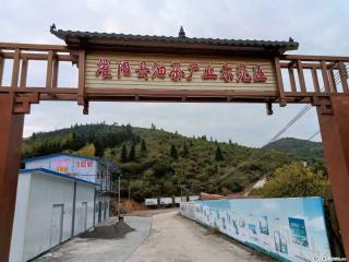 【灌阳县油茶产业示范区】一个有着充实的精神生活的人，对待身外之物自会有一种淡泊的态度 - 泸州28生活网 luzhou.28life.com