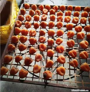 广西桂林平乐桥亭【柿饼之乡】2025年纯手工制作、无任何添加剂的第一批柿饼准备上市了，欢迎联系订购！ - 泸州28生活网 luzhou.28life.com