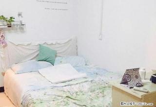 无介绍费 沱二桥 碧乐宫附近 一居室 套房出租 - 泸州28生活网 luzhou.28life.com