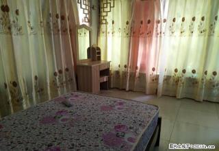 无中介费泸高后门旁锦竹苑一室一厅出租带超大顶楼花园 - 泸州28生活网 luzhou.28life.com