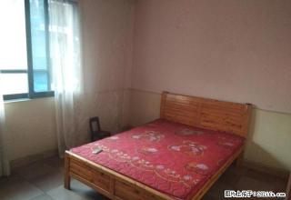 好房出售，正规的2室1厅，750元每月，带大阳台，可看长江 - 泸州28生活网 luzhou.28life.com