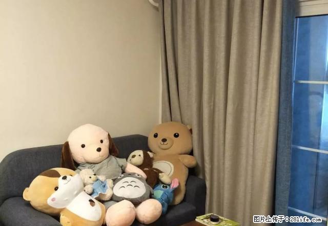 佳乐世纪城 精装一房 温馨舒适(可短租两个月) - 房屋出租 - 房屋租售 - 泸州分类信息 - 泸州28生活网 luzhou.28life.com