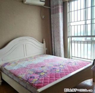 无介绍费 市中心水井沟 沱一桥旁现代150出租 - 泸州28生活网 luzhou.28life.com