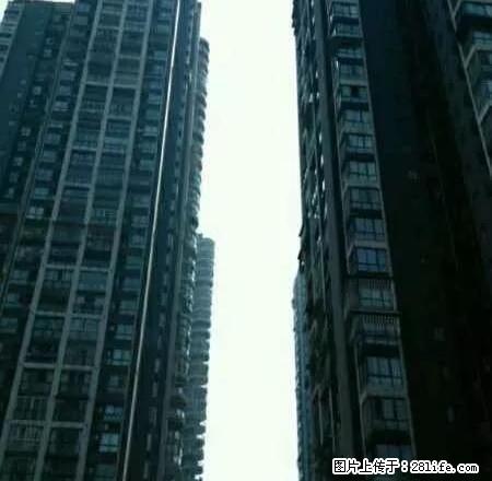 城北中医院旁,高档电梯公寓无敌望江房,豪华装修,业主急租, - 房屋出租 - 房屋租售 - 泸州分类信息 - 泸州28生活网 luzhou.28life.com