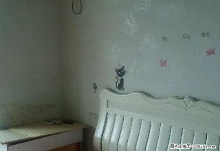 中心市江景楼 1室0厅26平米 中等装修 押二付三800元 - 泸州28生活网 luzhou.28life.com