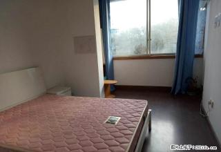 医学院附近精装2室1厅1200元。 - 泸州28生活网 luzhou.28life.com