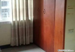 医学院和水井沟附近中装3室1厅1200元。 - 泸州28生活网 luzhou.28life.com