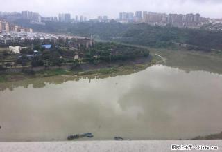 佳乐世纪城酒店式公寓 40平米 精装修 房源真实 随时看房 - 泸州28生活网 luzhou.28life.com