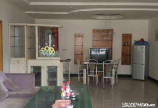 住家两室好房出租 拎包可住 实惠 住家 欢迎随时看房子 - 泸州28生活网 luzhou.28life.com