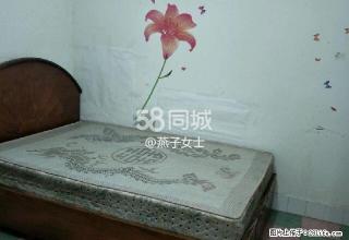 区委附近 2室1厅1卫 - 泸州28生活网 luzhou.28life.com