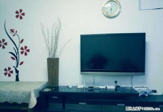 东门口城市之心二室一厅出租 1500 - 泸州28生活网 luzhou.28life.com