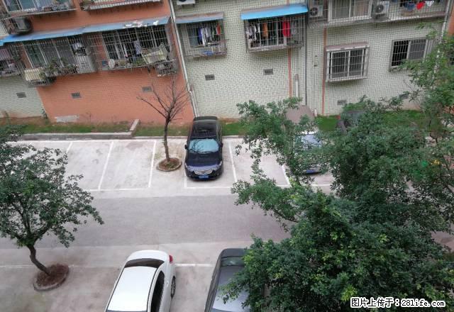 停车方便,大龙花园 两室出租,配套全齐。实景拍摄 - 房屋出租 - 房屋租售 - 泸州分类信息 - 泸州28生活网 luzhou.28life.com