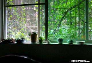 (单间出租)富临花园水务集团个人分租 个人分租大山坪主卧500元/月 - 泸州28生活网 luzhou.28life.com