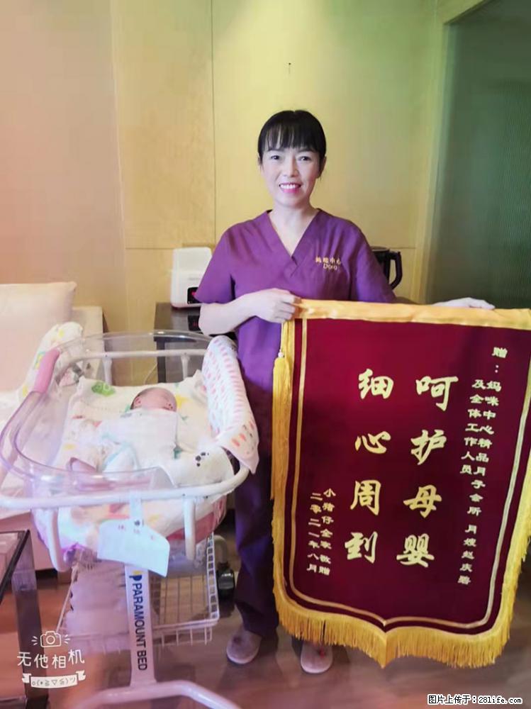 上海高端月子会所招新手月嫂，零基础带教，包吃住 - 职场交流 - 泸州生活社区 - 泸州28生活网 luzhou.28life.com