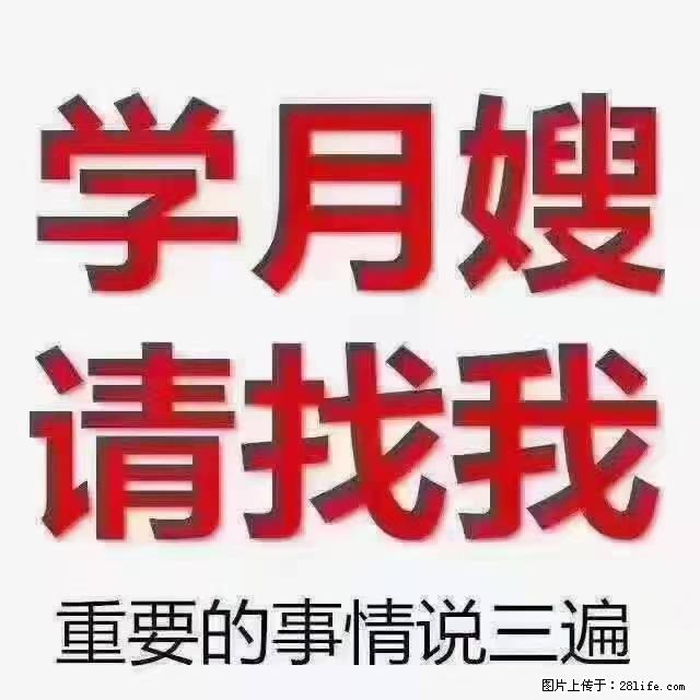 【招聘】月嫂，上海徐汇区 - 职场交流 - 泸州生活社区 - 泸州28生活网 luzhou.28life.com