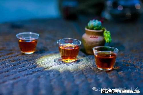 时间果百年古树2025年春红茶 - 购物交流 - 泸州生活社区 - 泸州28生活网 luzhou.28life.com