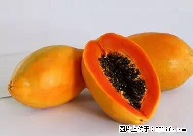 晕车、脚气、牙齿变黄、皮肤粗糙?学会这些三分钟搞定! - 泸州生活资讯 - 泸州28生活网 luzhou.28life.com