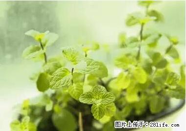 晕车、脚气、牙齿变黄、皮肤粗糙?学会这些三分钟搞定! - 泸州生活资讯 - 泸州28生活网 luzhou.28life.com