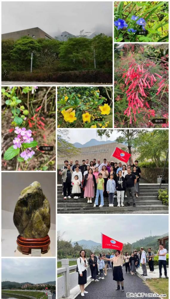 “粤灌文化 美好生活”油茶文化主题活动在广东深圳成功举办 - 泸州生活资讯 - 泸州28生活网 luzhou.28life.com