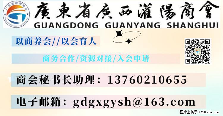 “粤灌文化 美好生活”油茶文化主题活动在广东深圳成功举办 - 泸州生活资讯 - 泸州28生活网 luzhou.28life.com