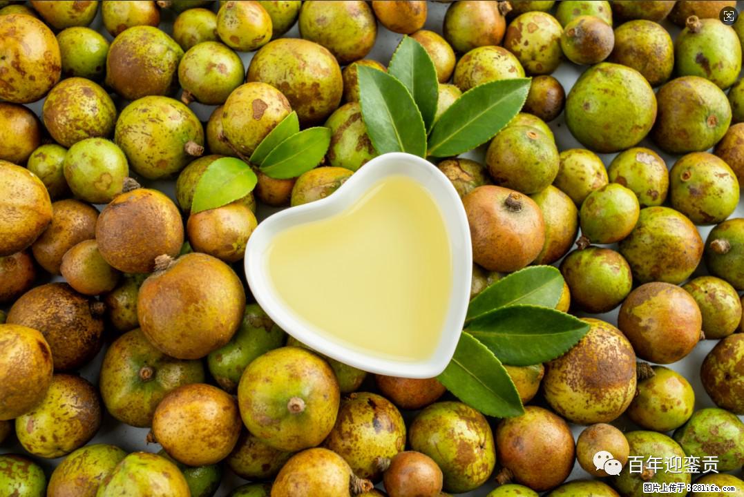 世界没有真相，只有认知，最好的食用油是中国的山茶油！ - 泸州生活资讯 - 泸州28生活网 luzhou.28life.com