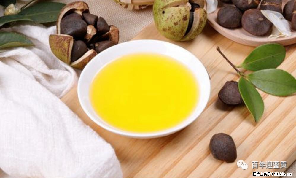 世界没有真相，只有认知，最好的食用油是中国的山茶油！ - 泸州生活资讯 - 泸州28生活网 luzhou.28life.com