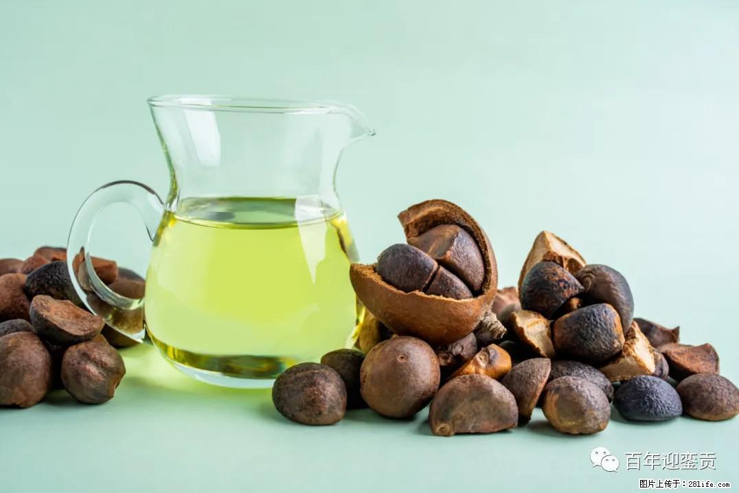 世界没有真相，只有认知，最好的食用油是中国的山茶油！ - 泸州生活资讯 - 泸州28生活网 luzhou.28life.com