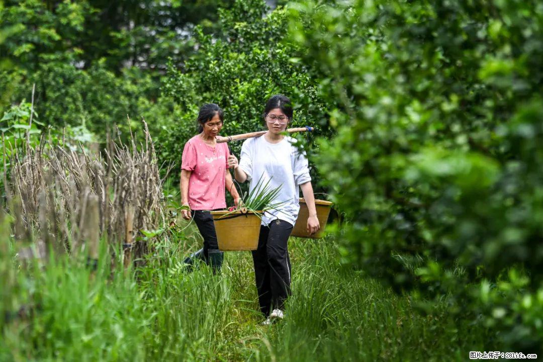 全网追的“扁担女孩”，找了一份暑假工，时薪12元 - 泸州生活资讯 - 泸州28生活网 luzhou.28life.com