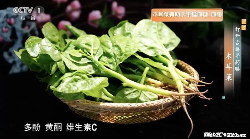 比牛奶补钙还厉害！凉血解毒、稳血糖...这菜冬天必吃，很多人却当草 - 泸州生活资讯 - 泸州28生活网 luzhou.28life.com