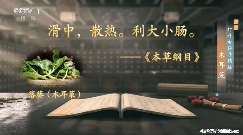 比牛奶补钙还厉害！凉血解毒、稳血糖...这菜冬天必吃，很多人却当草 - 泸州生活资讯 - 泸州28生活网 luzhou.28life.com